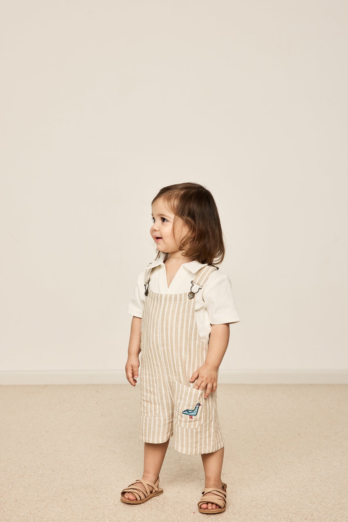 Taylor Stripe Overalls