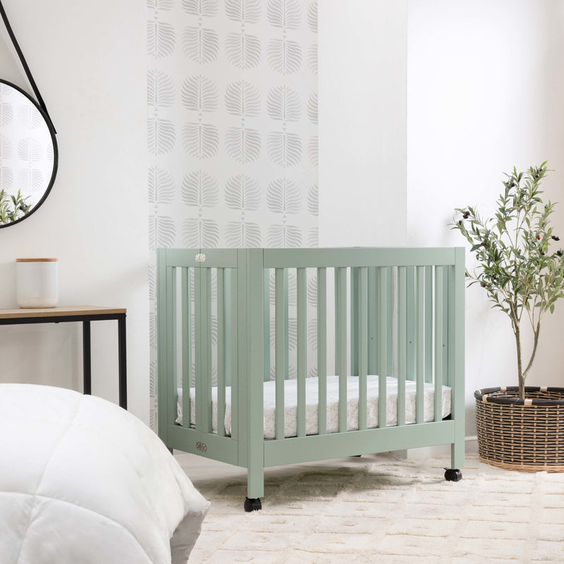 https://cdn.shopify.com/s/files/1/1801/7811/files/dqtftsw4xh104qumlmdv.jpg?v=1776389053