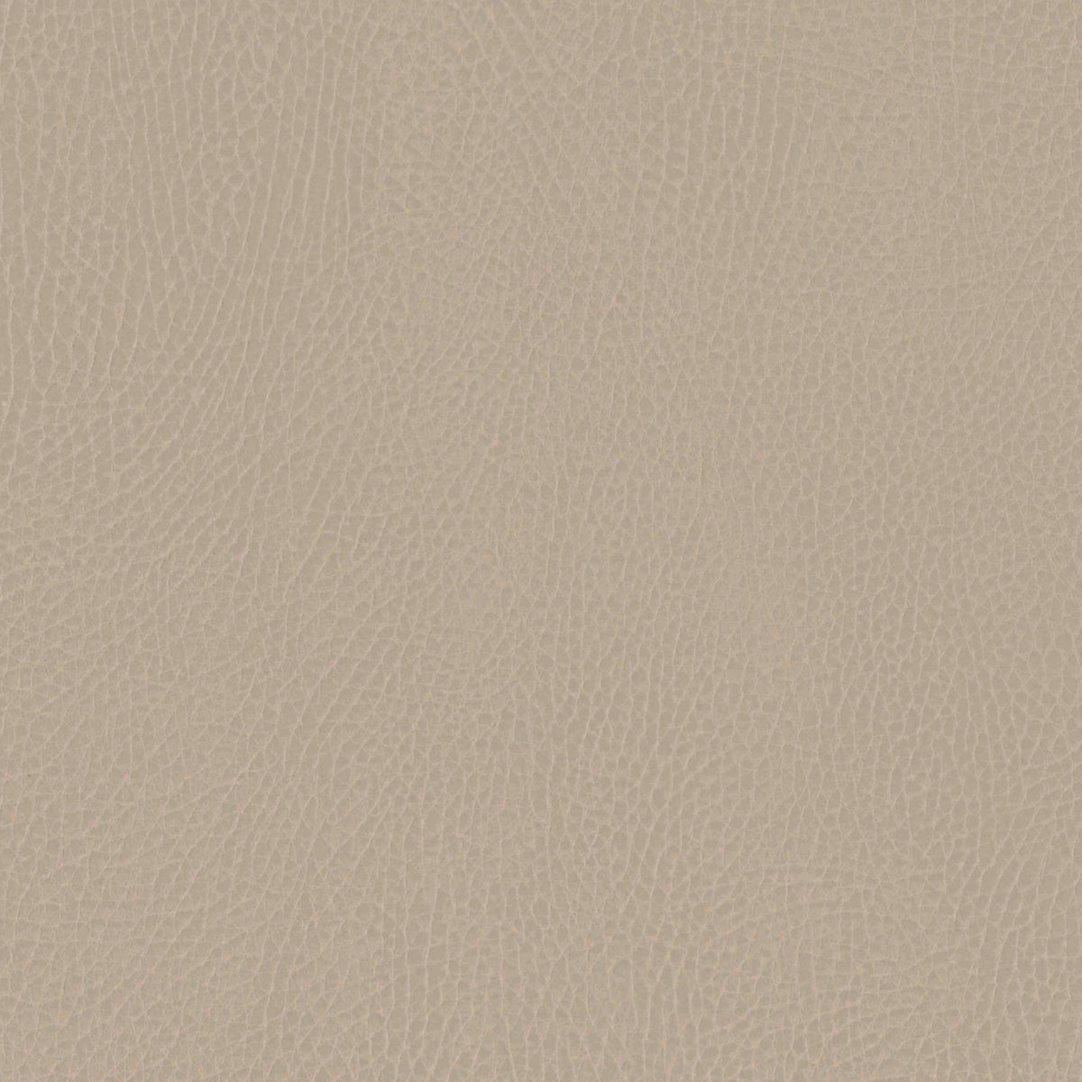 https://cdn.shopify.com/s/files/1/1801/7811/files/eajrvqbyyml2sv7m16c6.jpg?v=1776389431