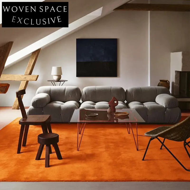 French Vintage Luxury Plush Living Room Area Rug - Modern Minimalist Bedroom Carpet