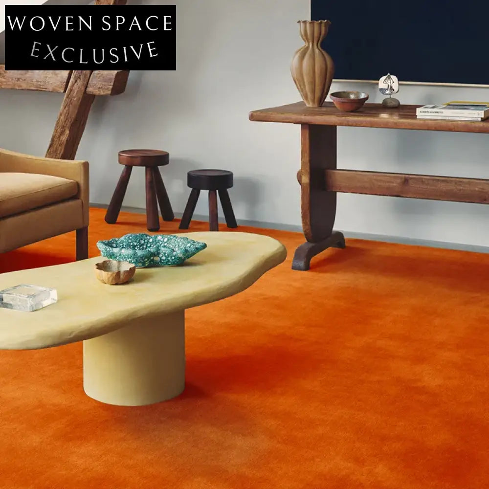 French Vintage Luxury Plush Living Room Area Rug - Modern Minimalist Bedroom Carpet