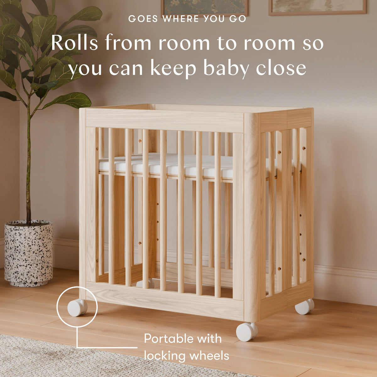 https://cdn.shopify.com/s/files/1/1801/7811/files/ieerjennmxgwfsl8unek.jpg?v=1776734196