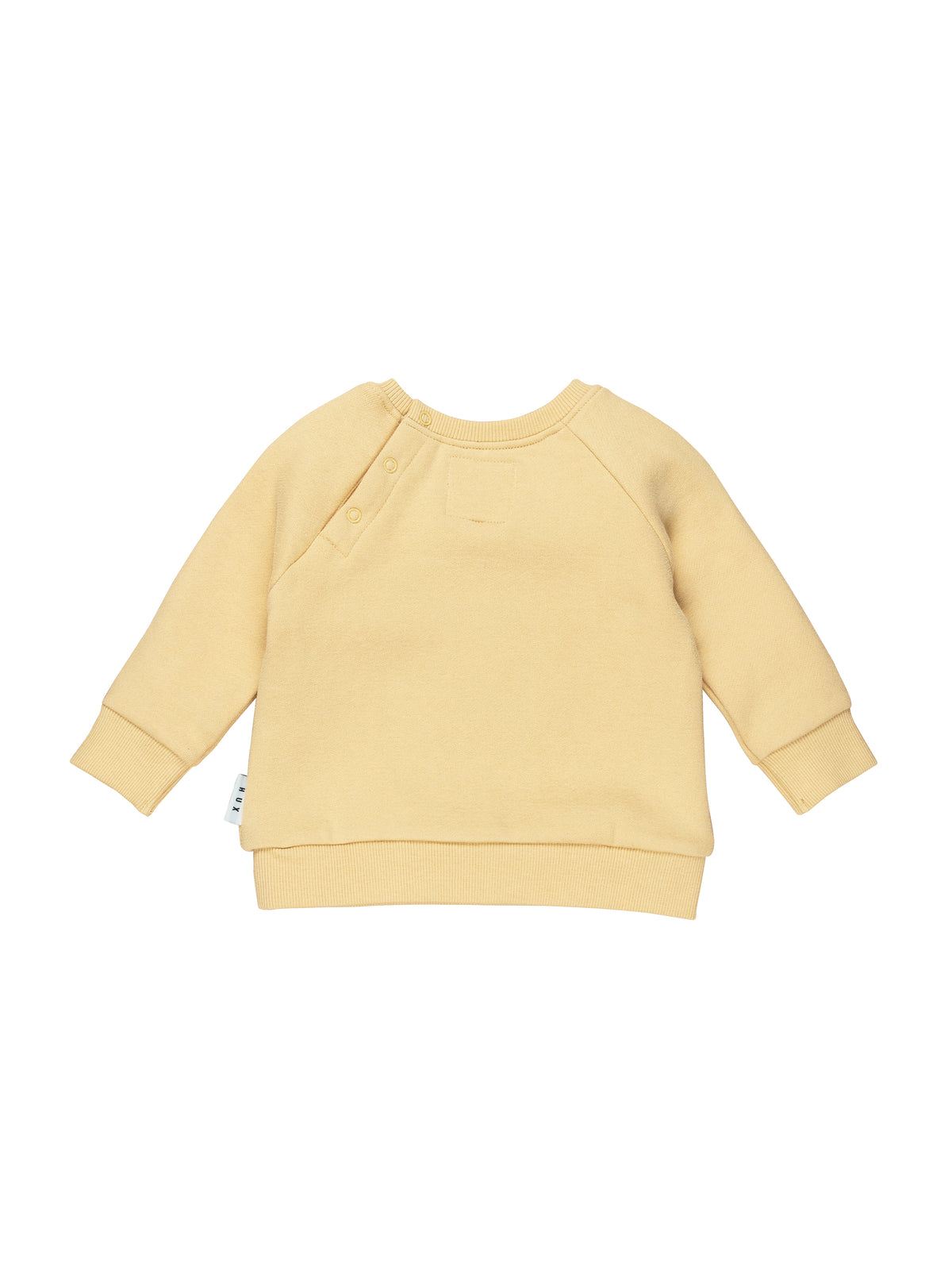 Sunny Bear Sweatshirt